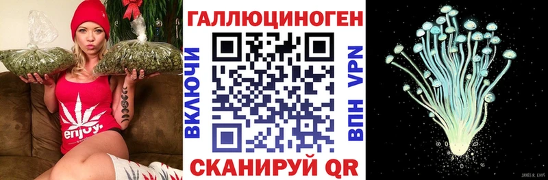 наркошоп  Новосокольники  Псилоцибиновые грибы MAGIC MUSHROOMS 